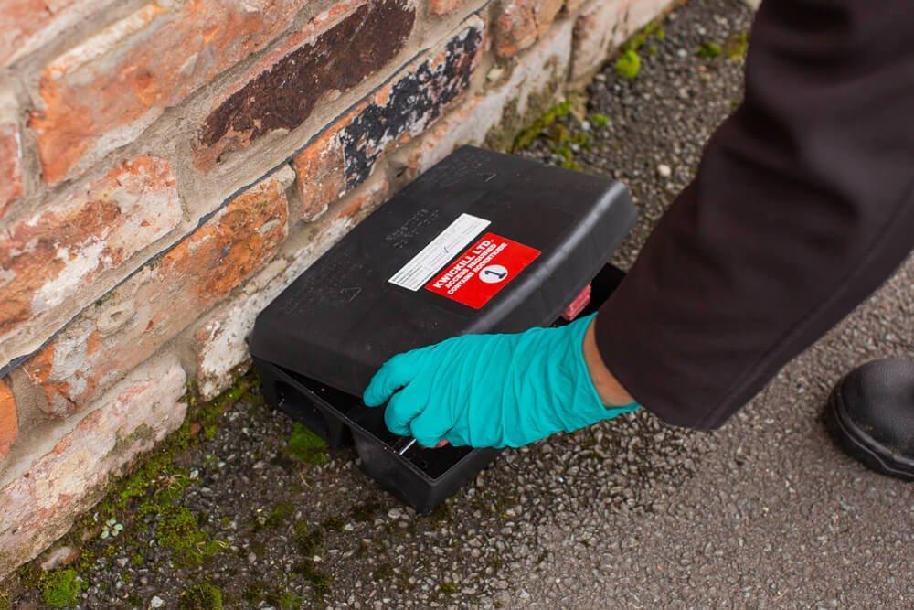 Residential Rodent Control